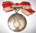 Z Medal 2